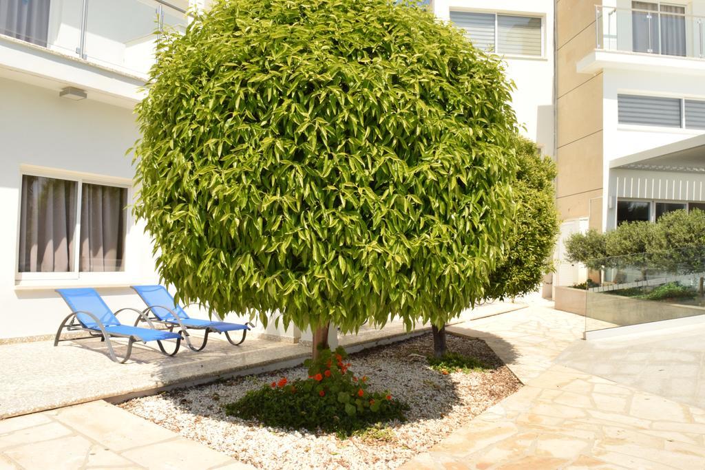 Fedrania Gardens Hotel Ayia Napa Eksteriør billede